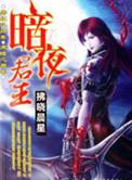 作者暗夜君王、的