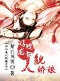 大明天子录