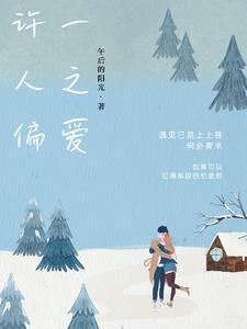 许一人以偏爱下一句是什么