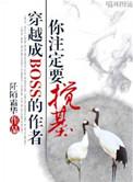 穿成boss的作者你注定要搅基沈飞笑