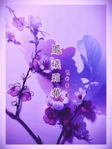 女主叫凤曦的
