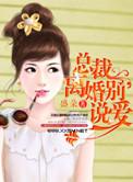 总裁 离婚吧