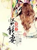 穿越之贤妻