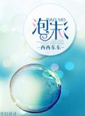泡沫灭火器原理方程式