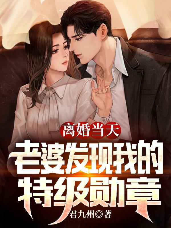 镇国少帅林宇