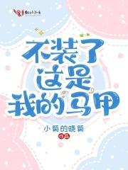 这马甲我不披了简介