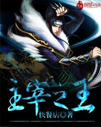 主宰之王辛无痕是谁