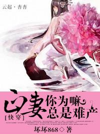 正妻txt