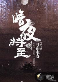 暗夜将至全集在线观看