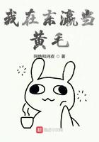 我在东瀛开网