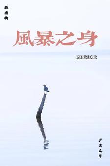 风暴之身潘红业