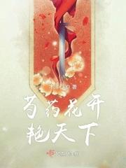 芍药花开歌词