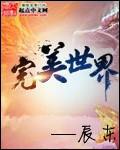 完美世界236