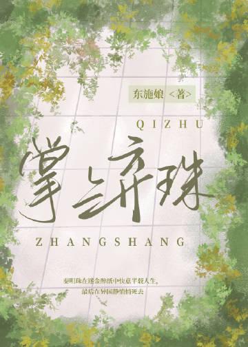 掌上珠玉
